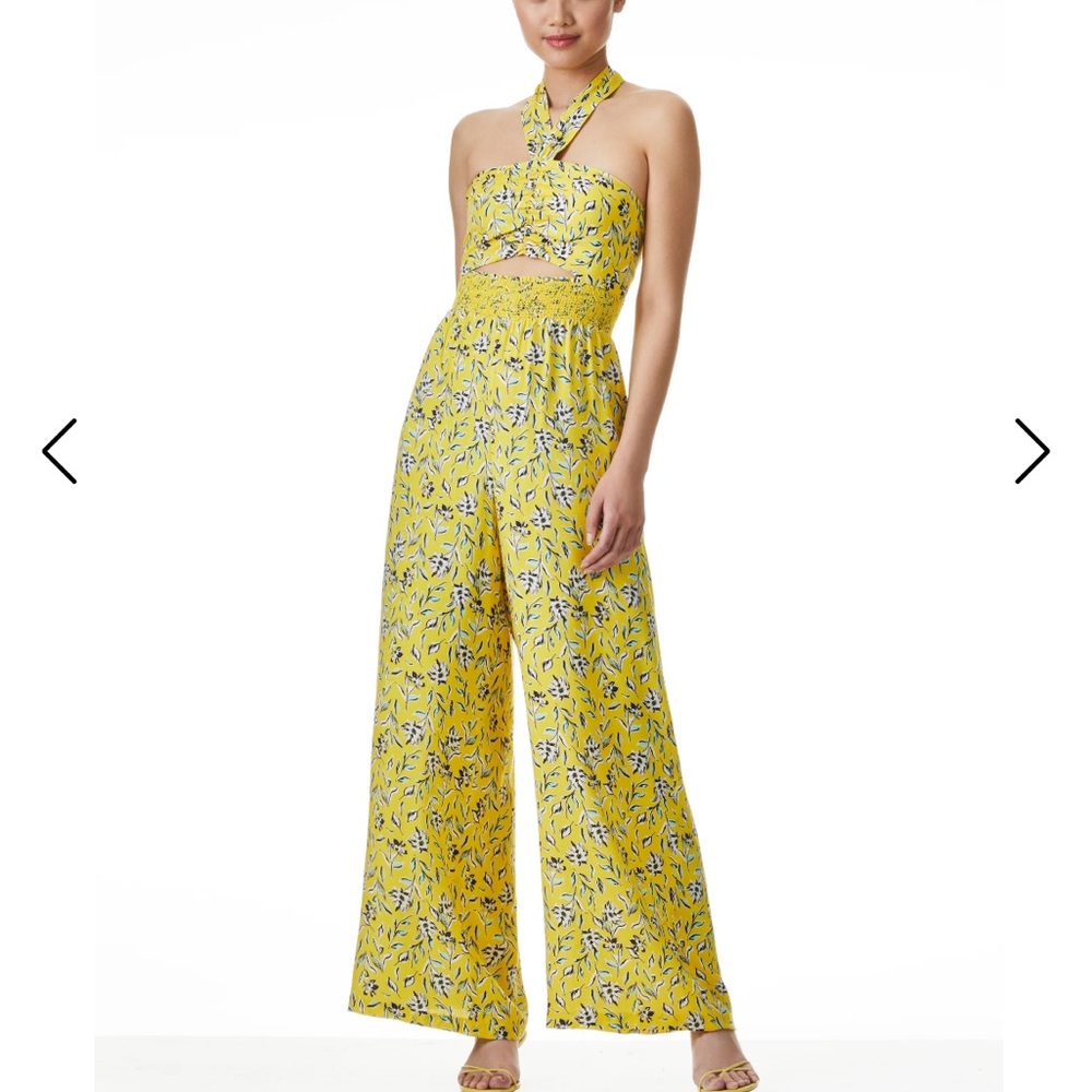 Alice + Olivia Adler Floral Halter Jumpsuit | Size 2